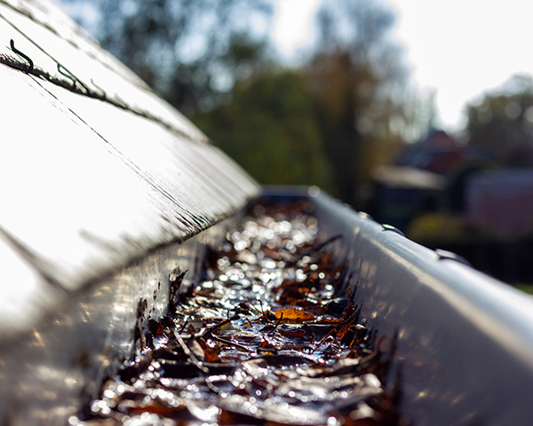 Gutter Cleaning