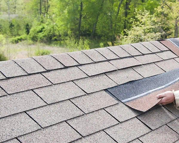 Shingle Repair